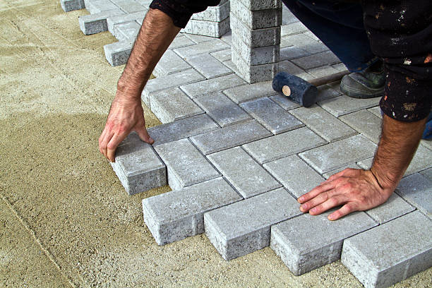 Best Driveway Paving Contractor  in Meadow Woods, FL